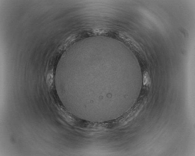 X0000112781011200908201524