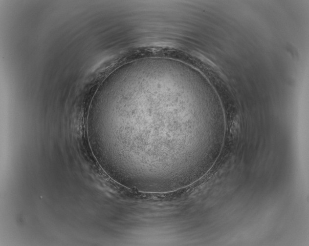 X0000112781014200908201524