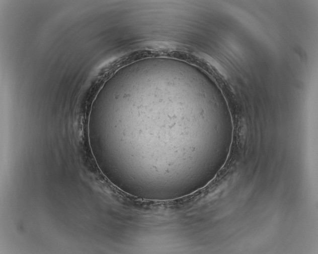 X0000112781016200908201524