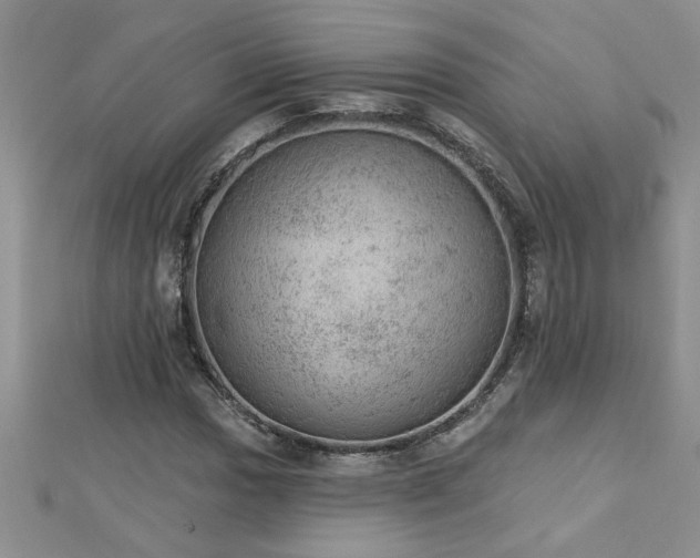 X0000112781017200908201524