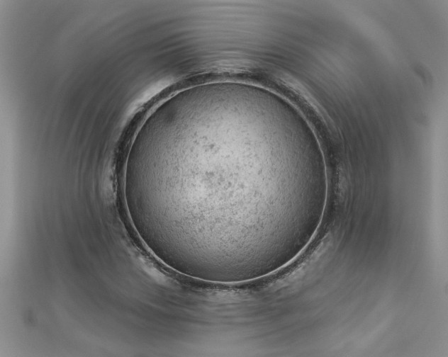 X0000112781018200908201524