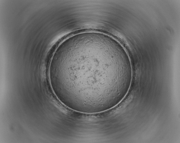 X0000112781019200908201524