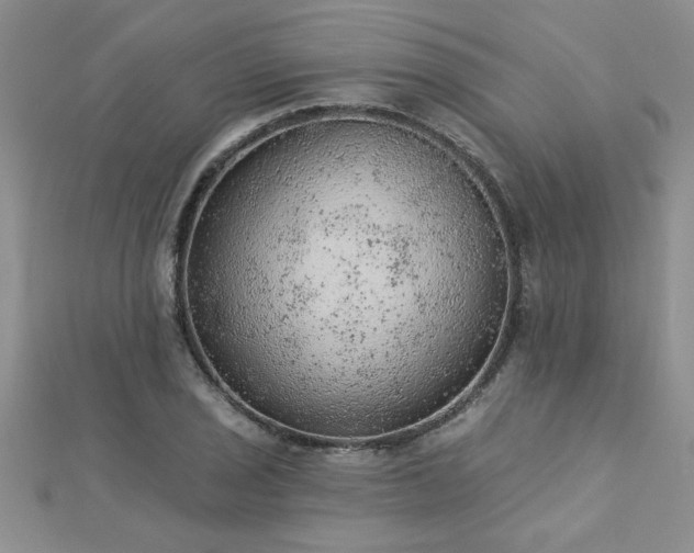 X0000112781029200908201524