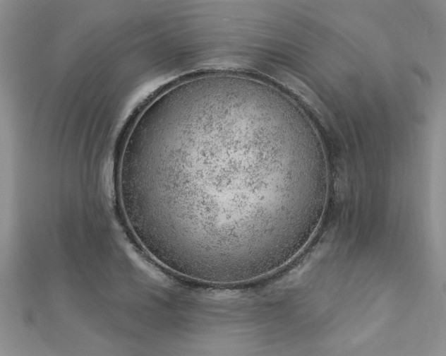 X0000112781030200908201524