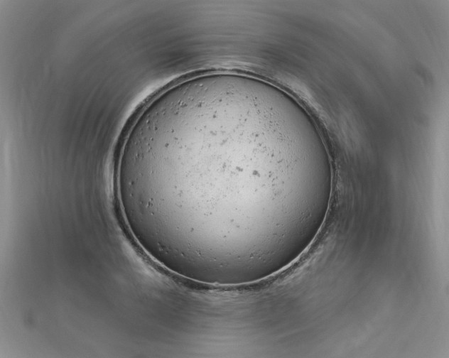 X0000112781032200908201524