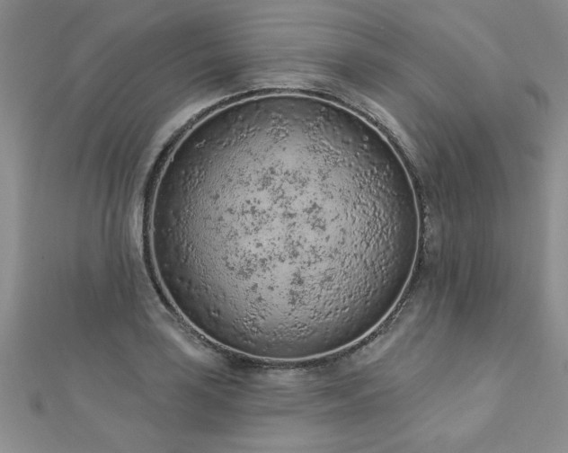 X0000112781035200908201524