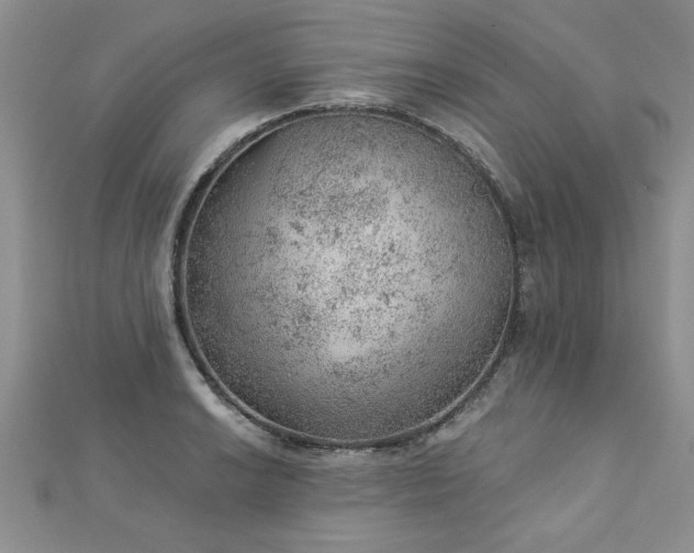 X0000112781038200908201524