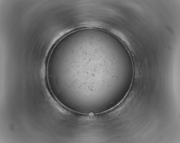 X0000112781040200908201524