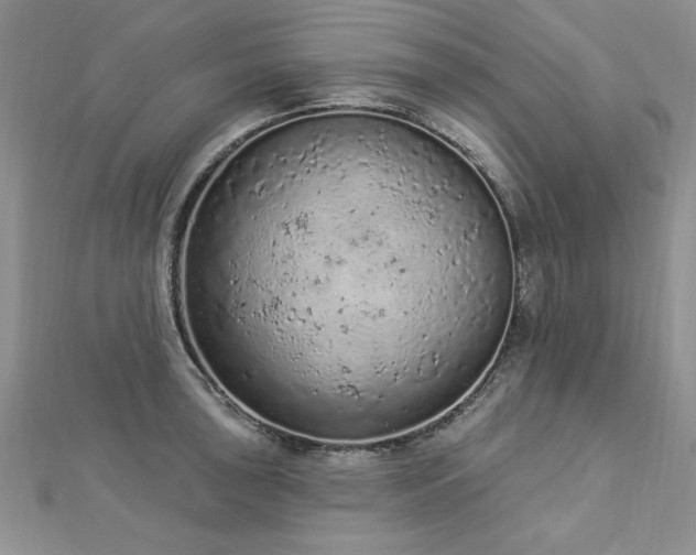 X0000112781043200908201524