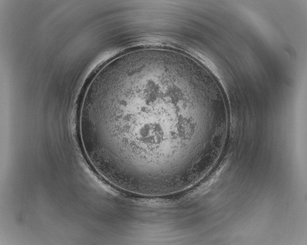 X0000112781045200908201524