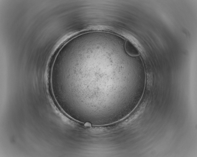 X0000112781046200908201525