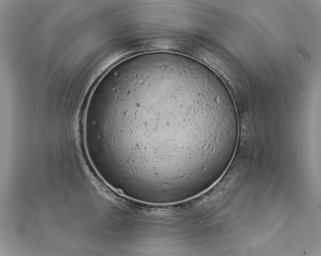 X0000112781047200908201525