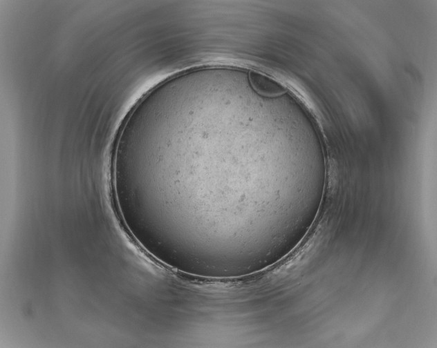 X0000112781048200908201525