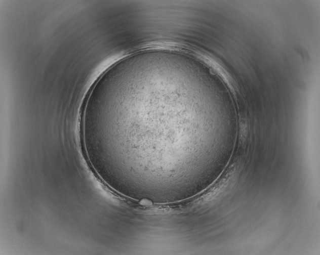 X0000112781050200908201525