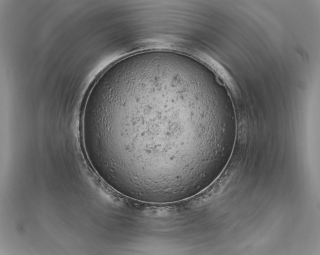 X0000112781051200908201525