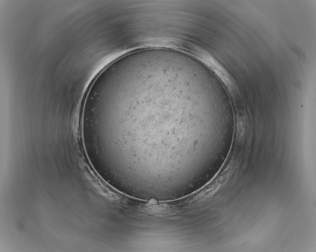 X0000112781052200908201525