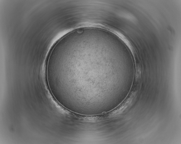 X0000112781053200908201525