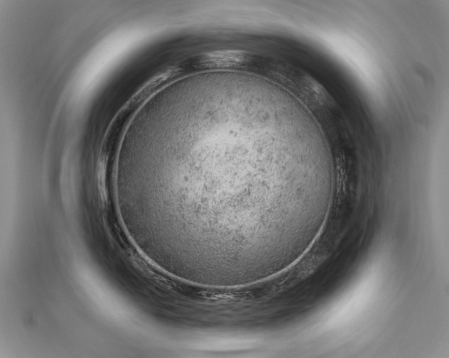 X0000112781054200908201525