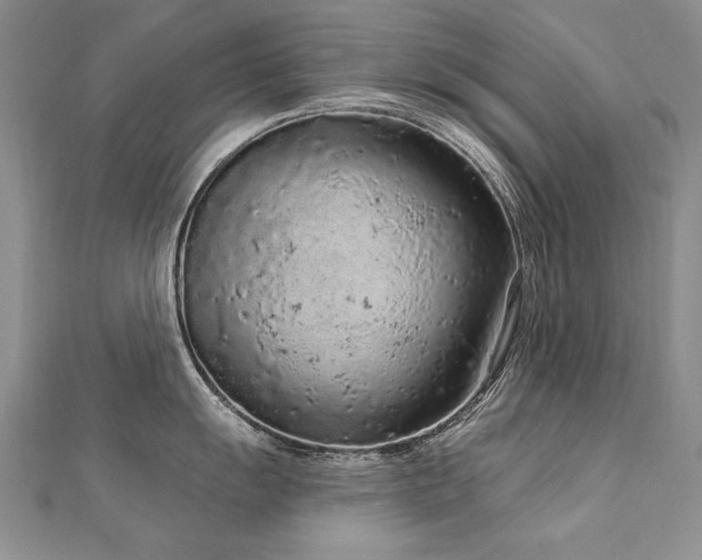 X0000112781055200908201525