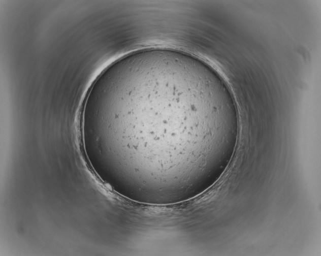 X0000112781056200908201525