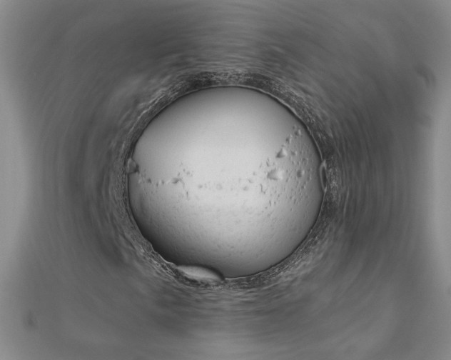 X0000112781057200908201524