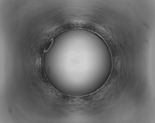 X0000112781061200908201524