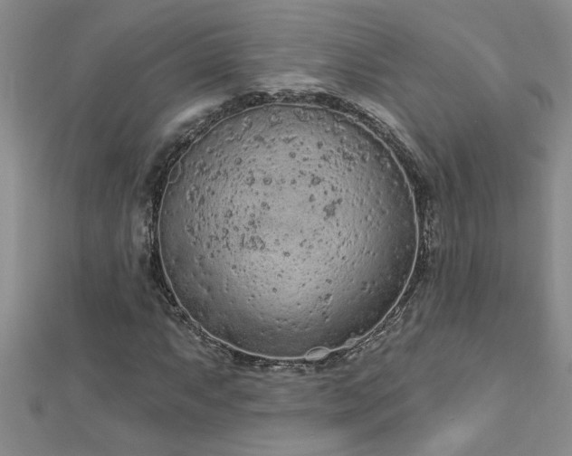 X0000112781063200908201524