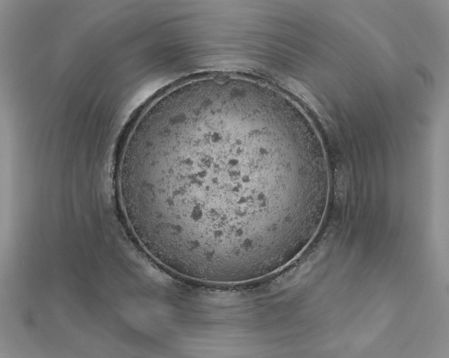 X0000112781071200908201524