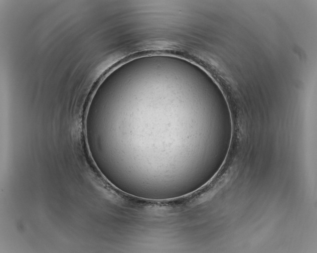 X0000112781073200908201524