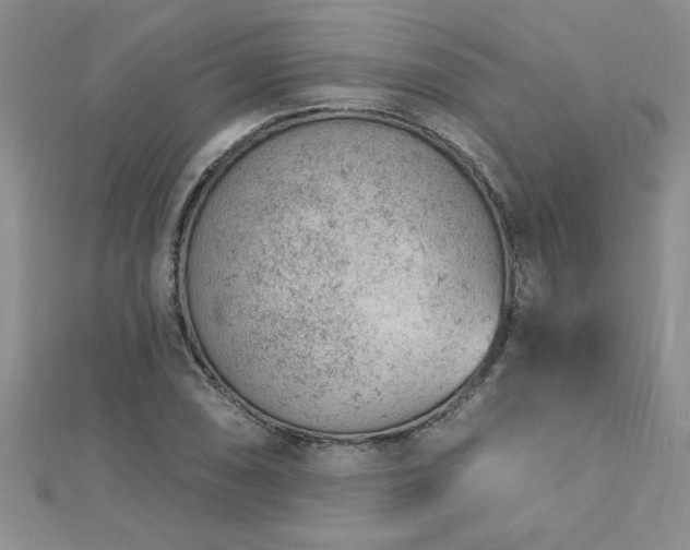 X0000112781074200908201524