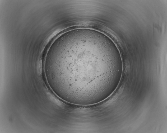 X0000112781075200908201524