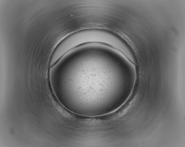 X0000112781081200908201524