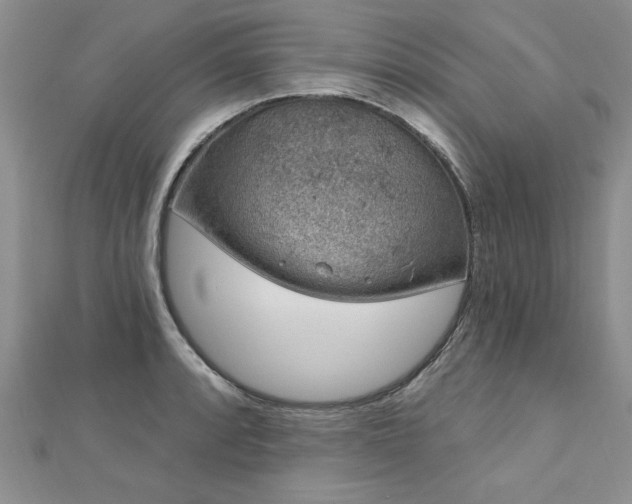 X0000112781088200908201524