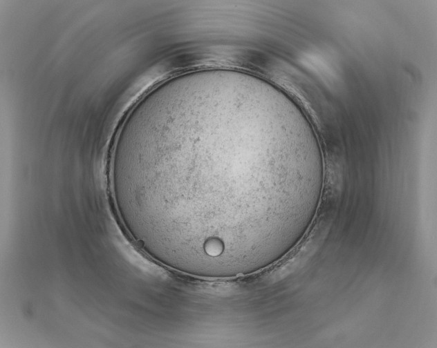 X0000112781090200908201524