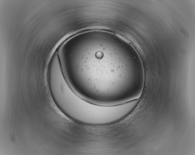 X0000112781092200908201524