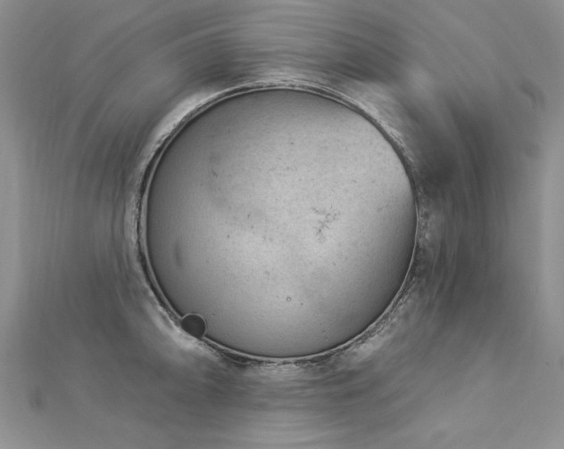 X0000112781094200908201524