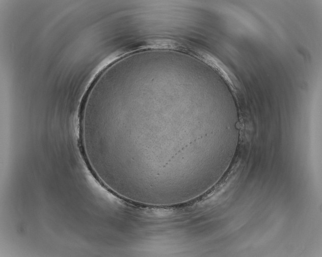 X0000112781095200908201524