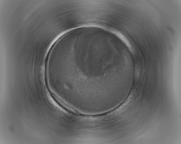 X0000112781100200908201523
