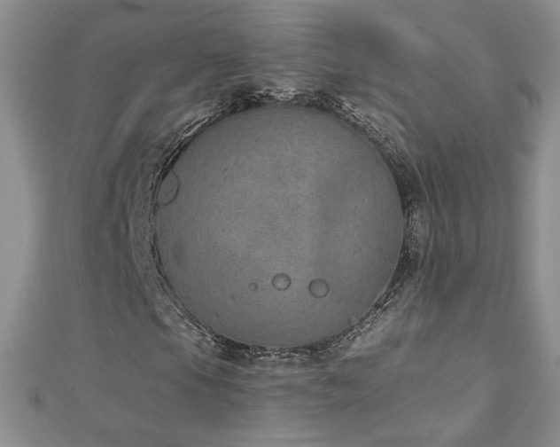 X0000112781105200908201523