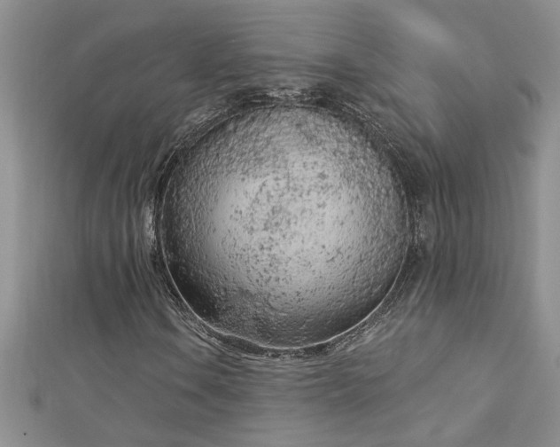 X0000112781106200908201523