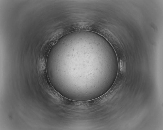 X0000112781107200908201523