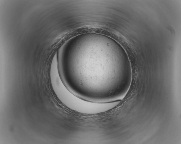 X0000112781110200908201523