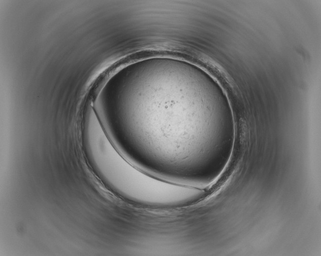 X0000112781114200908201523