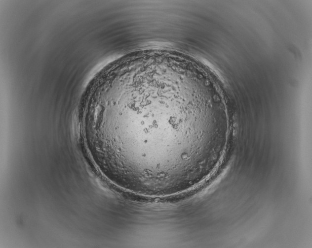 X0000112781117200908201523