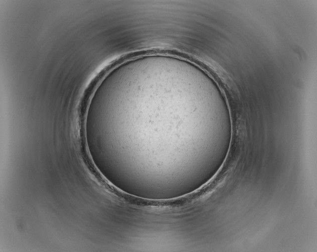 X0000112781118200908201523