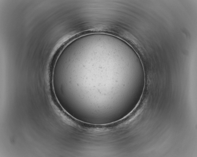 X0000112781122200908201523