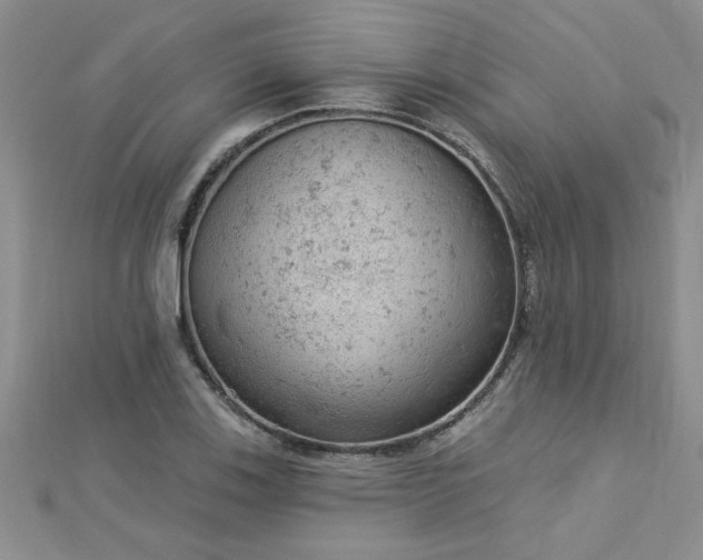 X0000112781123200908201523