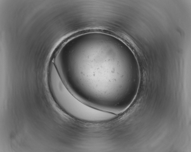 X0000112781124200908201523