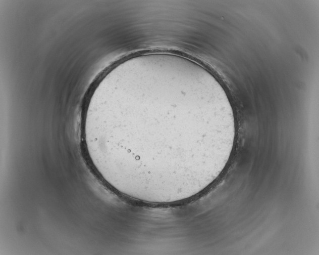 X0000112781126200908201523