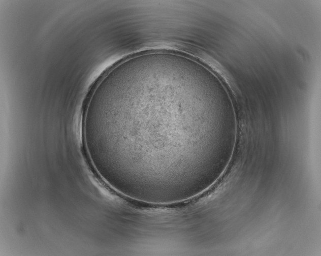 X0000112781127200908201523